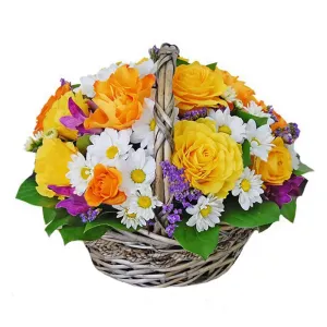 Солнечное Настроение