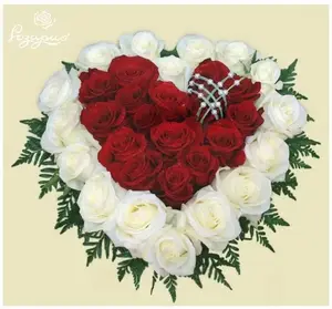 От всей души