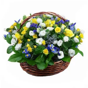 Нотки любви