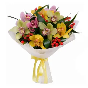 Моя голубка